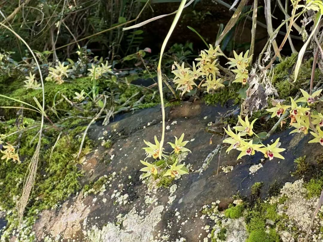 e0a35eab99b49fc86a060589605a4148