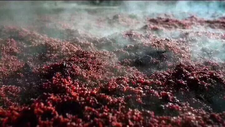 微信图片_2026-03-09_154836_575