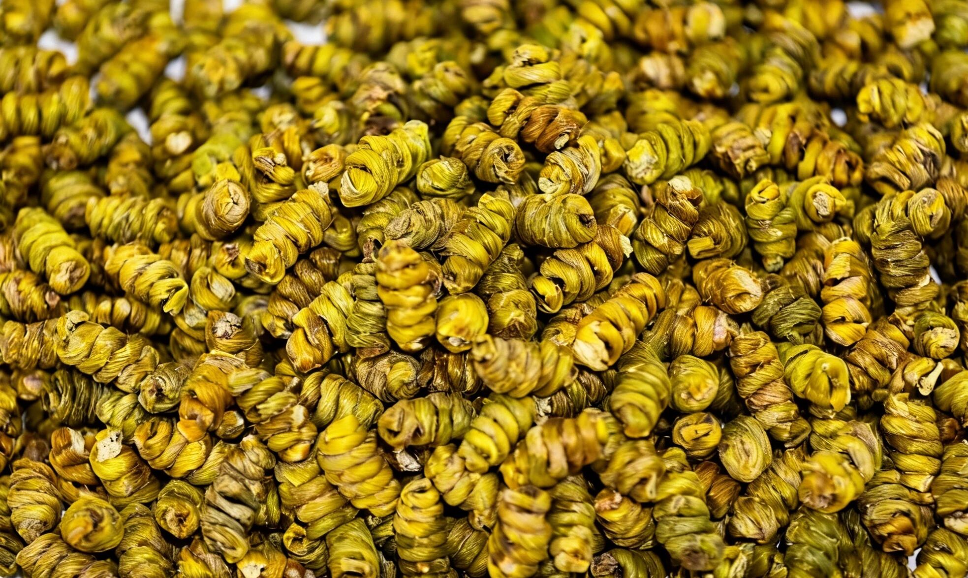 微信图片_2026-03-28_084452_679