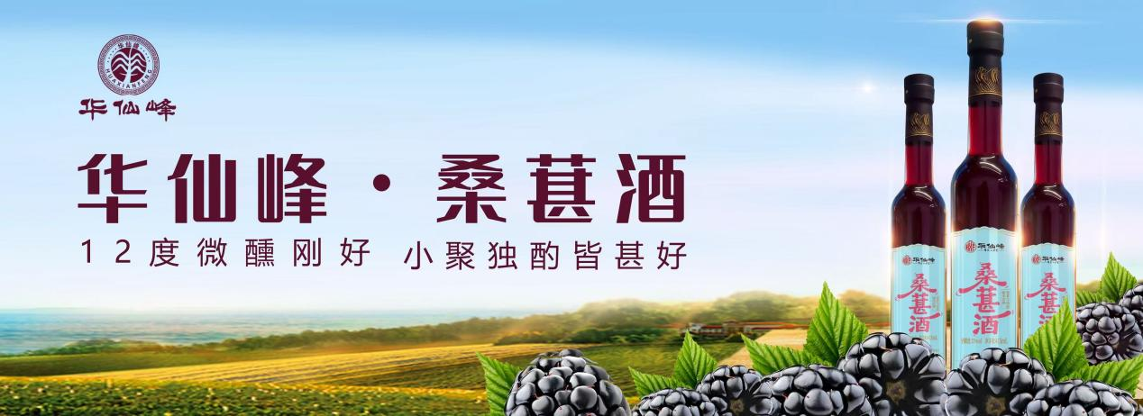 桑葚上市1