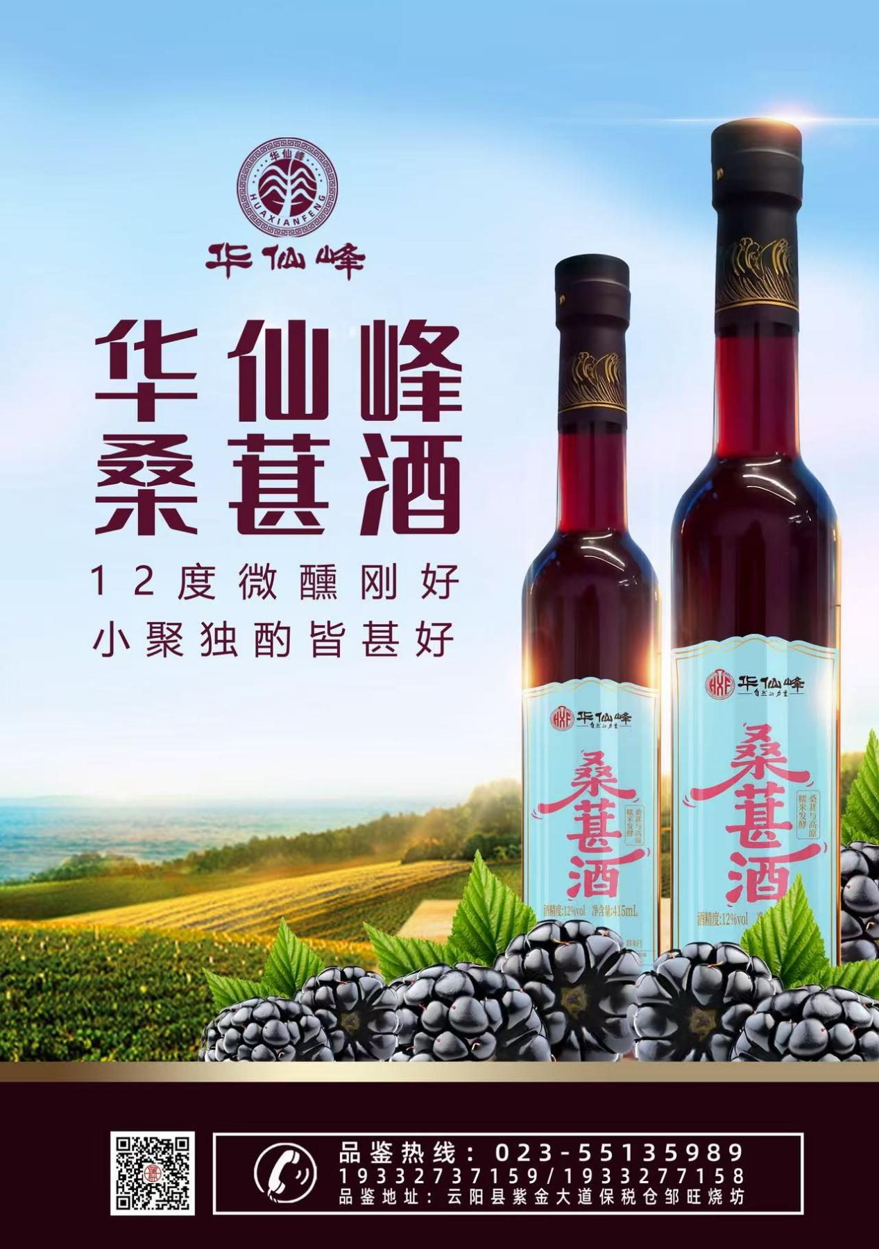 桑葚上市3